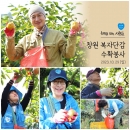 [부울경] 소외계층에 희망을 전하는 단감수확봉사 현장 